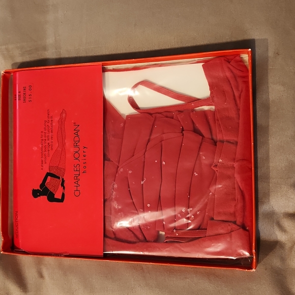 CHARLES JORDAN BODYSTOCKING - Picture 1 of 6